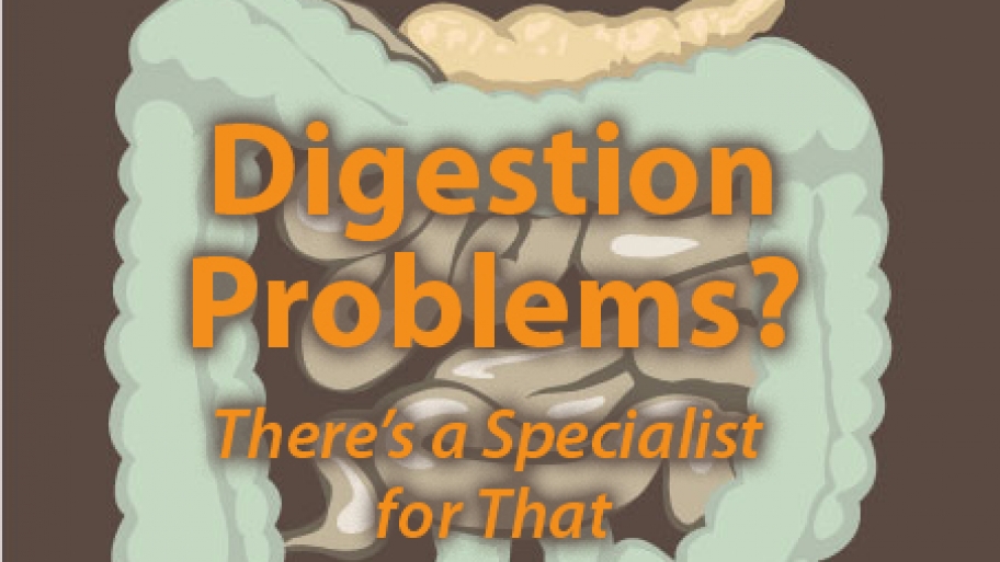 illustratio of a gastroenterology, digestive system